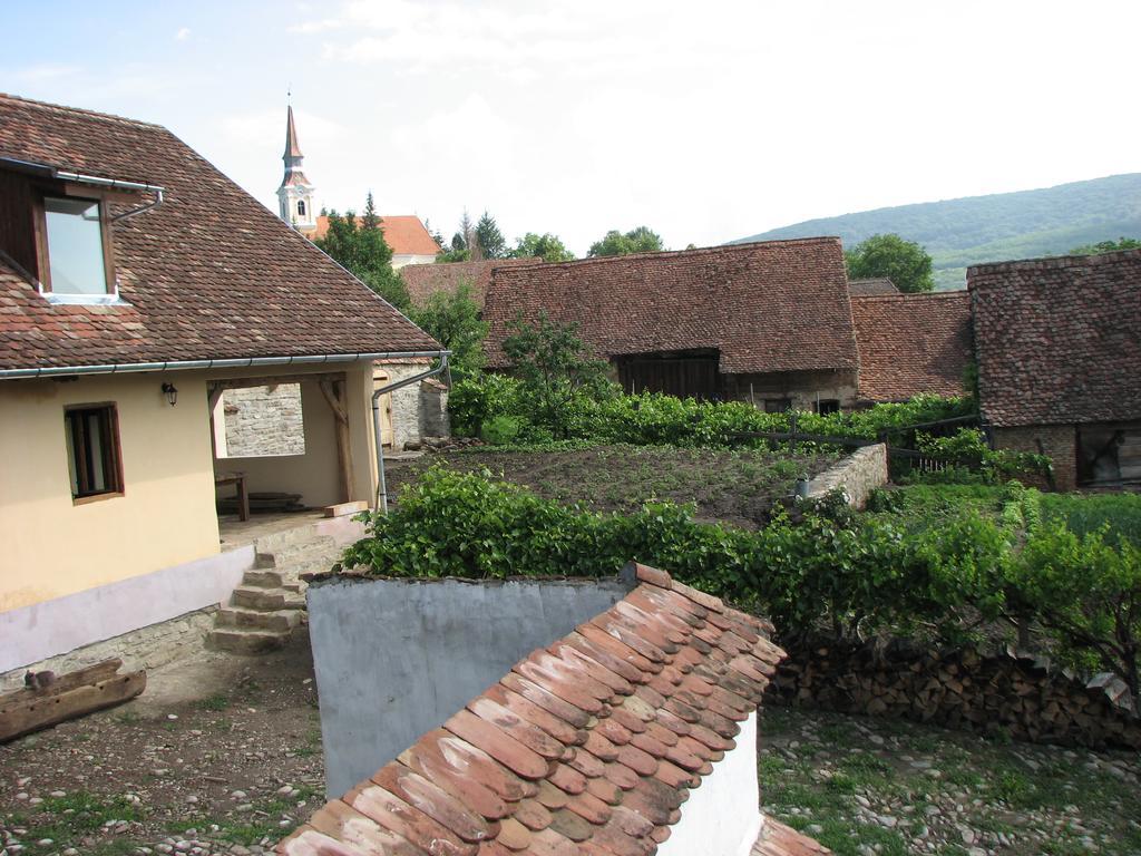 Convivium Transilvania Crit Exterior photo